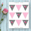 Pirate Girl Mini Bunting