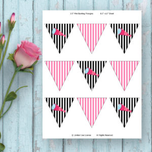Pirate Girl Mini Bunting