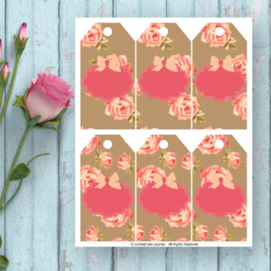 Chubby Chick-Printable Tags