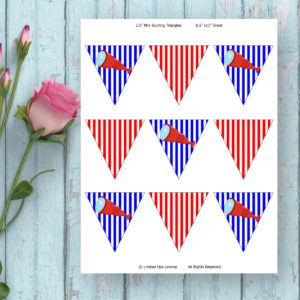 Pirate Boy Mini Bunting