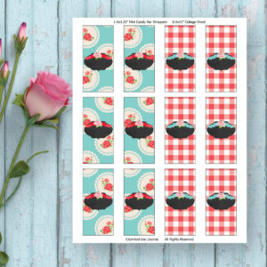 Picnic Birthday Party-Hershey Nuggets Cover