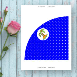 Pirate Boy-Paper Cone