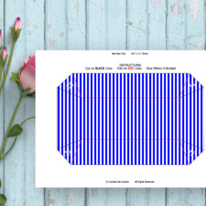 Pirate Boy-Hot Dog Tray-Blue